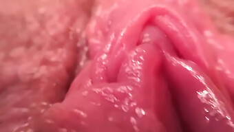 Close-Up Of Tight Pussy Orgasming With Toy