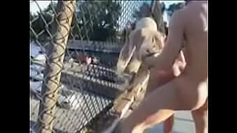 Outdoor Pussyfucking With A Blonde Babe