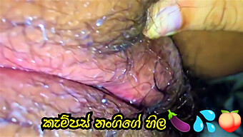 La Belleza Sensual De Sri Lanka Disfruta De La Acción Casera Con Un Condón