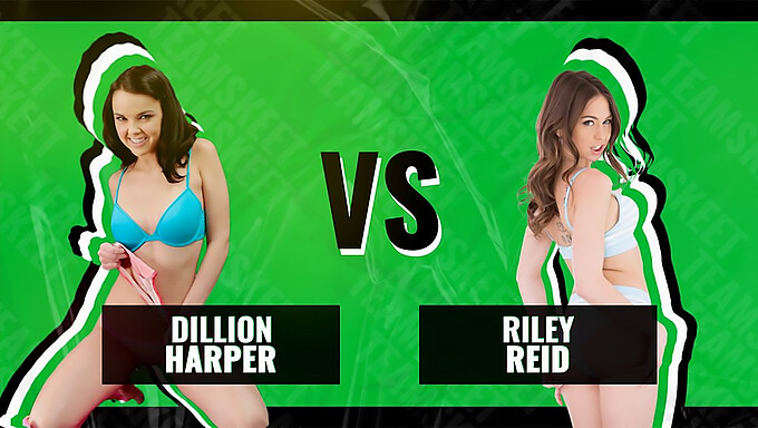 Riley Reid และ Dillion Harper แข่งขันกันเพื่อทักษะการขี่วัวที่ดีที่สุด