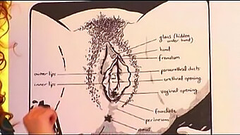 Mastering The Technique Of Oral Sex For Women With Bruno