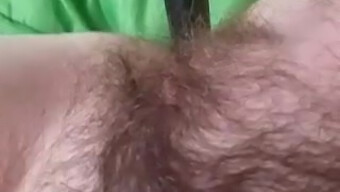 Una Adolescente Con Coño Peludo Se Masturba Frente A La Cámara. ¡mira Cómo Se Da Placer A Sí Misma!